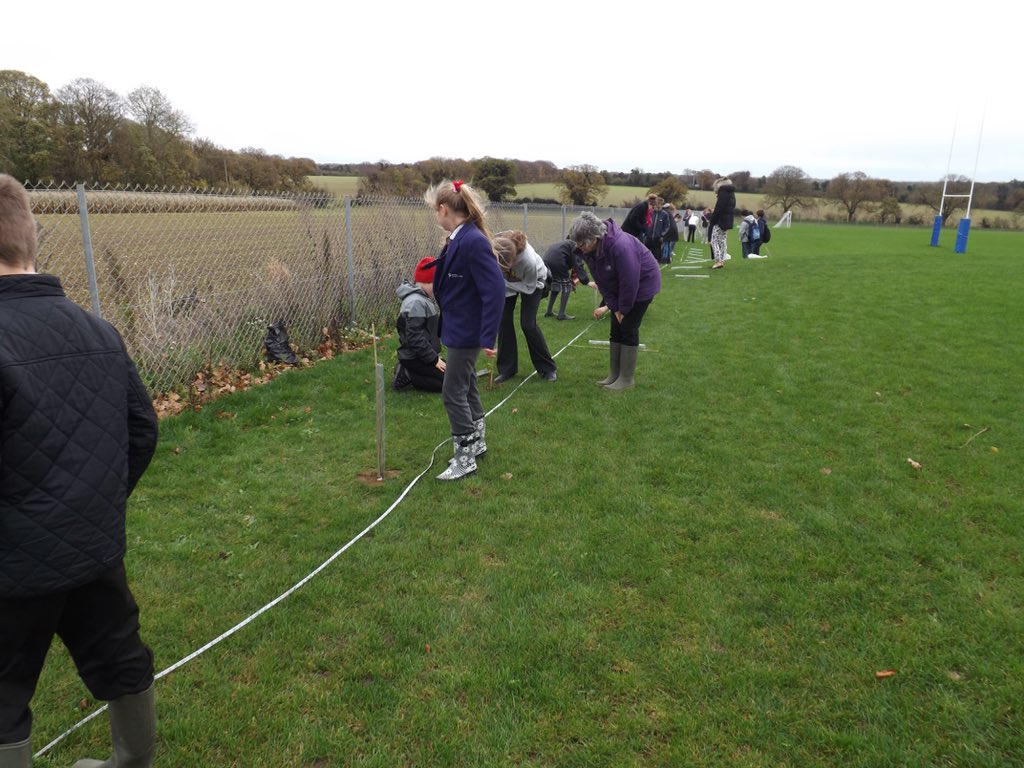 TTAEnvironment's tweet image. 420 native trees planted. What an amazing footprint to leave. @ThetfordAcaduk #ttatrees