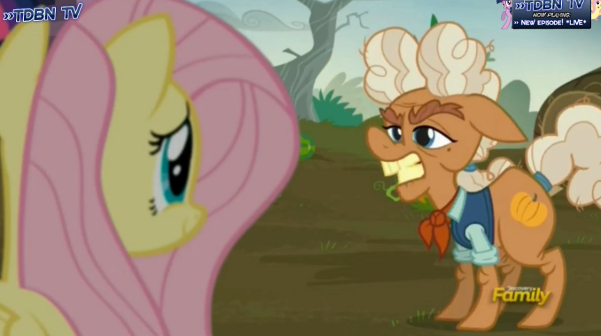 BarnyBarny1998's tweet photo. New Friendship Problem (With Fluttershy and Twilight) #MLPS5 https://t.co/AySzP5iAuN