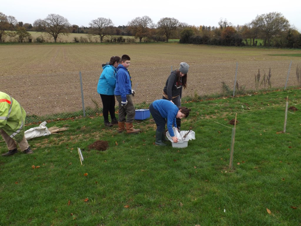 TTAEnvironment's tweet image. 31 scouts and 18 adult leaders helped plant 420 trees today. Big thanks. @ThetfordAcaduk #ttatrees @norfolkscouts