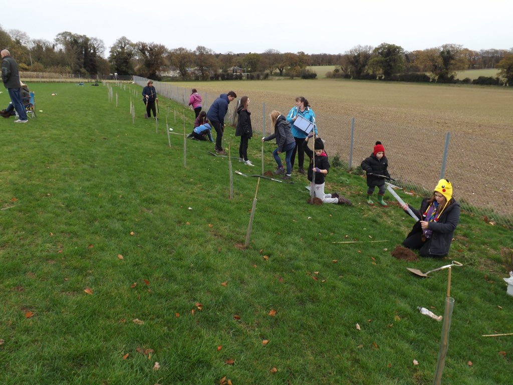 TTAEnvironment's tweet image. 31 scouts and 18 adult leaders helped plant 420 trees today. Big thanks. @ThetfordAcaduk #ttatrees @norfolkscouts