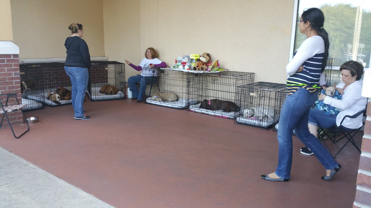 PetSmart tweet media
