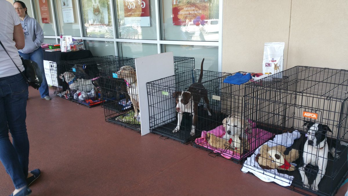 PetSmart tweet media