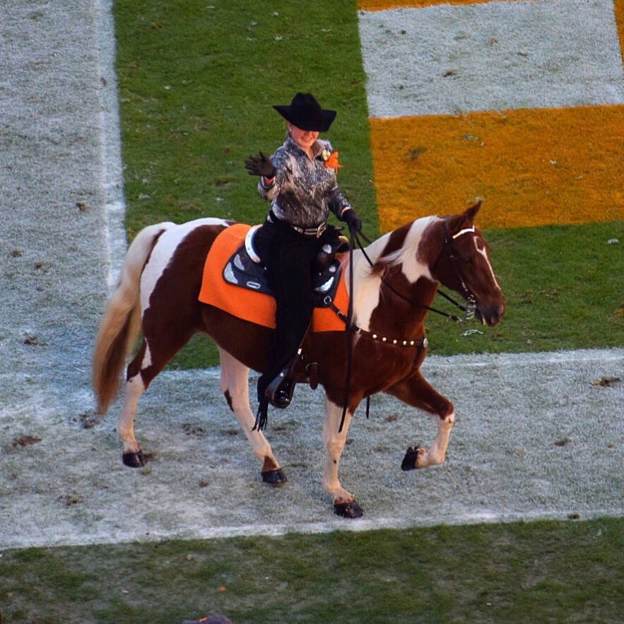 ginastafford1's tweet photo. #UTKHC #Tradition. #Tennessee walking horse. https://t.co/l4Dw9FuSOn