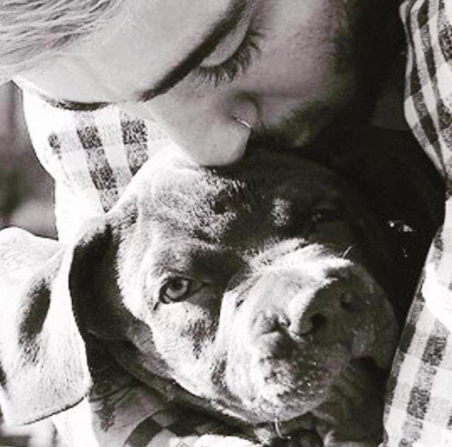 I don't care, I want to be Zayn. So rt for me please? 💫📣