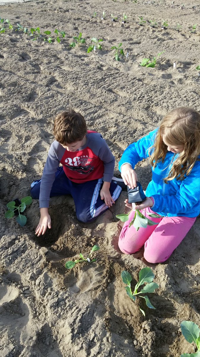 Beautiful day to teach someone about gardening! #AServantsLove #Dayspring #Garden