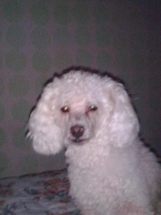 _bases's tweet image. Hola 👋  todos mis amigos*_*Θ_Θ                     Mary chavez