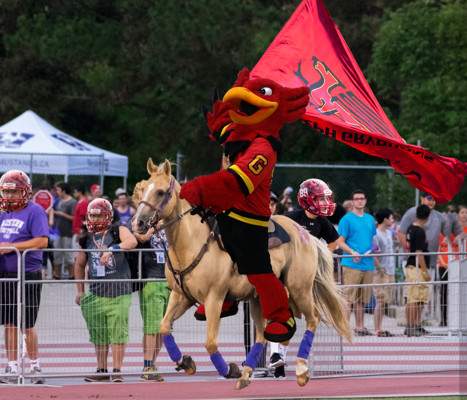 guelph_gryphons's tweet photo. 30 minutes until kickoff...
#QuestfortheCup https://t.co/WNhehpAAEf