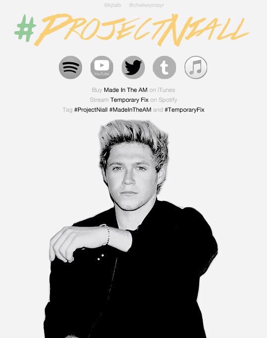 projectnialleu's tweet image. Get involved! #ProjectNiall #TemporaryFix