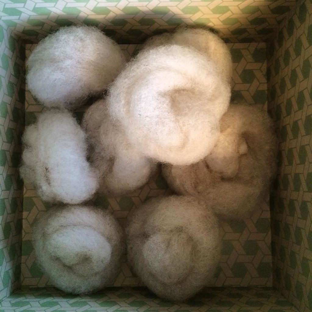 farfromharmfarm's tweet photo. 21g of truly, deeply, madly falling down for carding fleece into fluff.  #twitter #handcarding #jacobfleece https://t.co/aSWVjPzofN