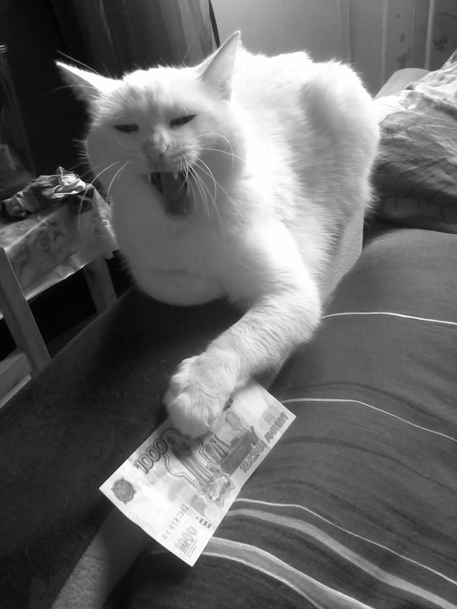 forccik's tweet image. Настоящий зверь!!! edset.ru