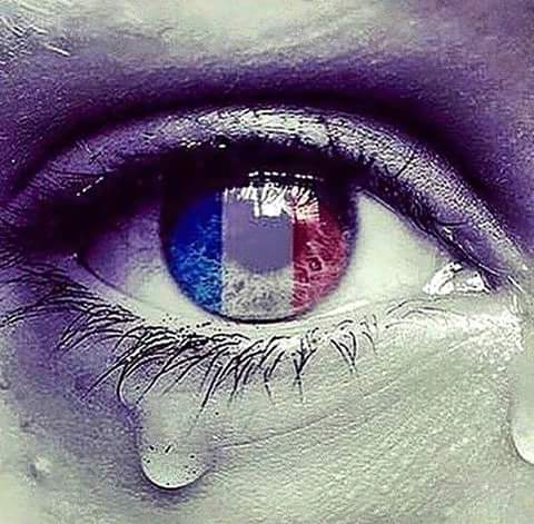 JaapPrins's tweet photo. #Parijs https://t.co/5pKZREU9BA