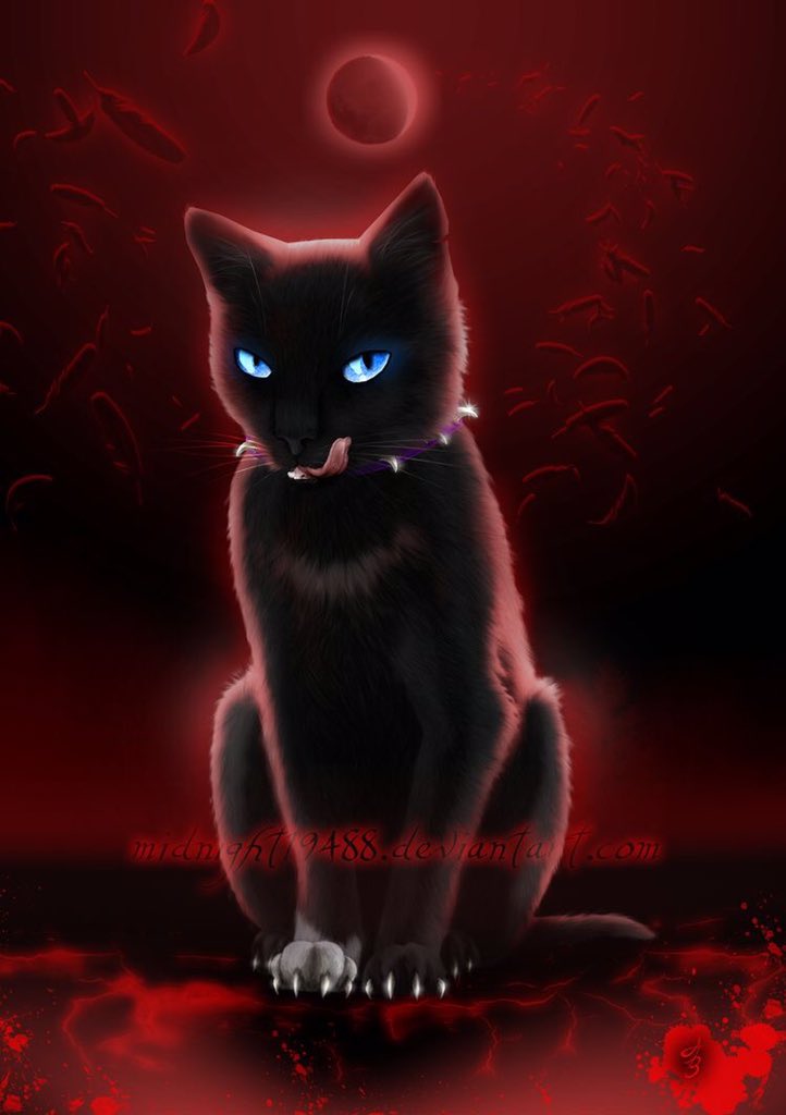 Meow
