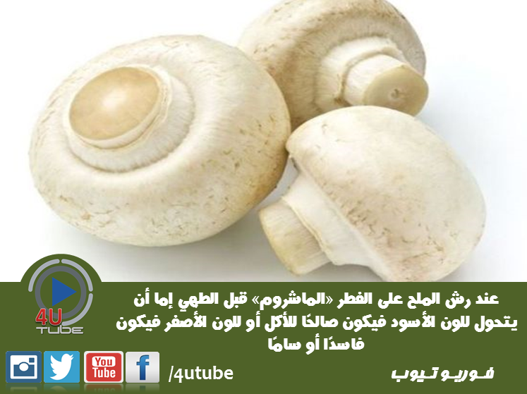 4UTube1's tweet photo. صلاحية المشروم 
#4UTube https://t.co/XPqDQgcLki
