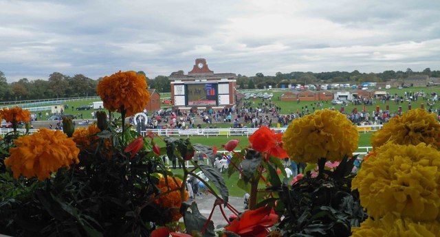 theabundantplanet tweet media