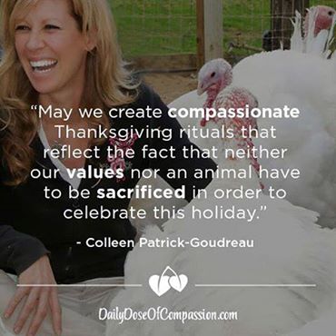 KeriTheHippie's tweet photo. #Compassion #Thanksgiving #ThanksLIVING☺ #GoVegan #ForTheTurkeys #AllLivesMatter https://t.co/o8Ln2I2i4d https://t.co/VuorvBeZyP