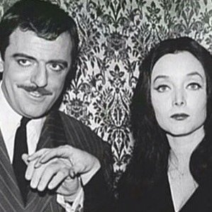 MrGomezFrump's tweet image. 