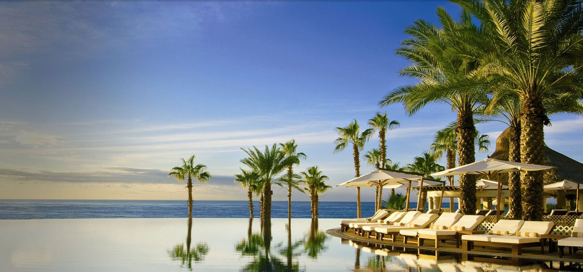 the_nalp's tweet image. It's cold here. It's not cold there. Make your rez today for #nalpLeaders Forum 2/25 - 27. ow.ly/TJyqJ