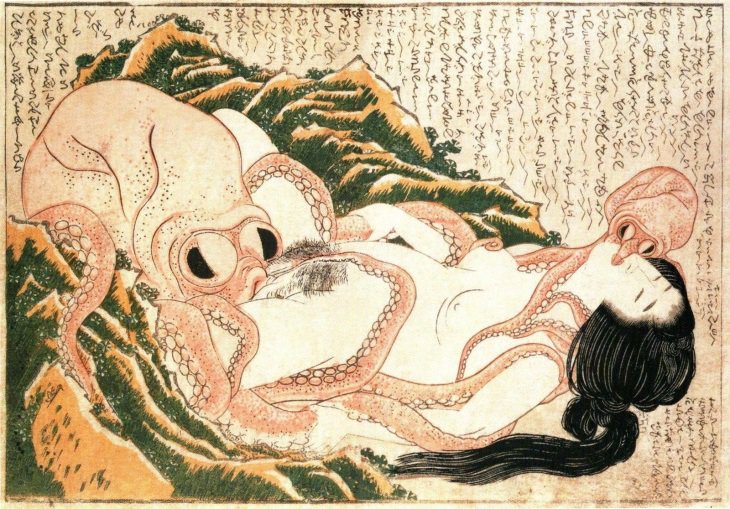 Image result for octopus pleasuring a lady