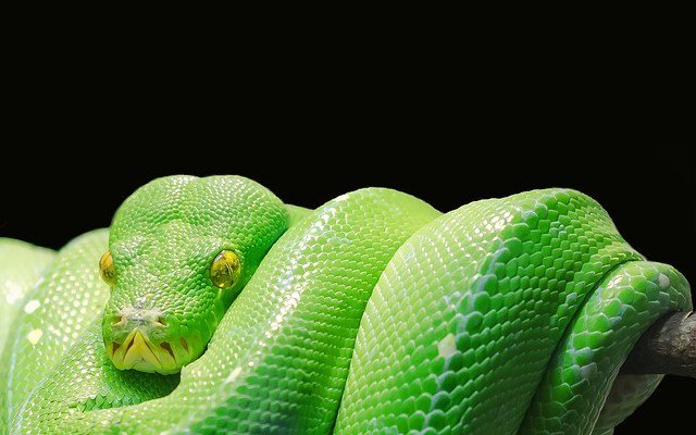 DZoneInc's tweet image. A Newbie Guide to Python bit.ly/1QxVYtx via @omedhabib @AppDynamics