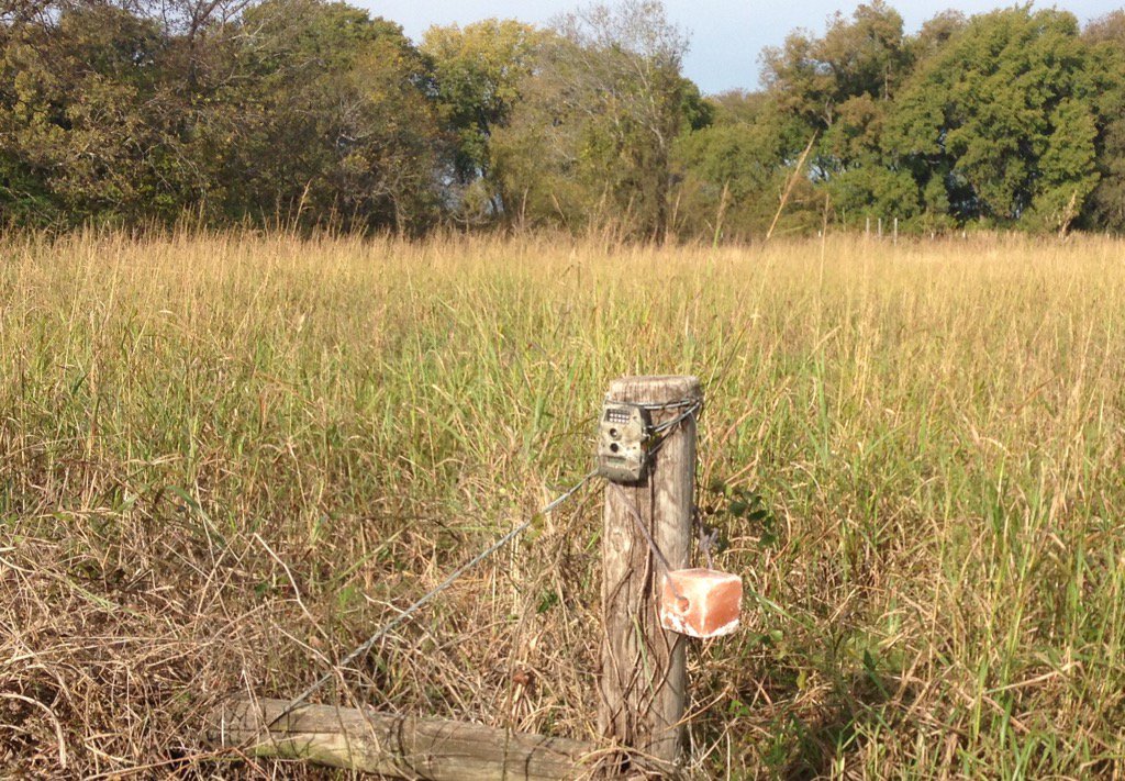 GoCritter's tweet image. Mineral lick and game cam.
