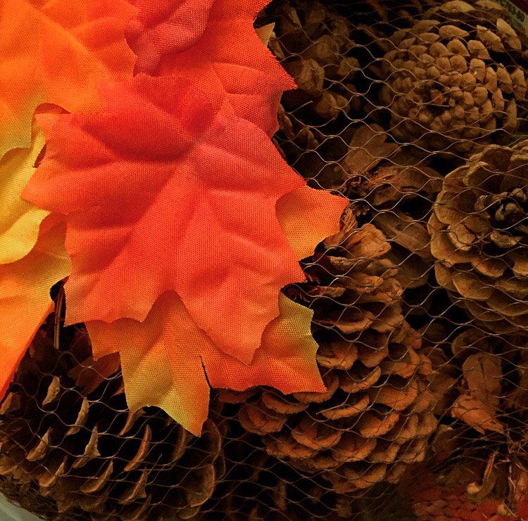 Lookin like Fall! #FOFFestival at <a href="/boldcitybrewery/">Bold City Brewery</a> 🍂 Join us tonight at 7:00, Tickets on sale at the door #kingstbbq