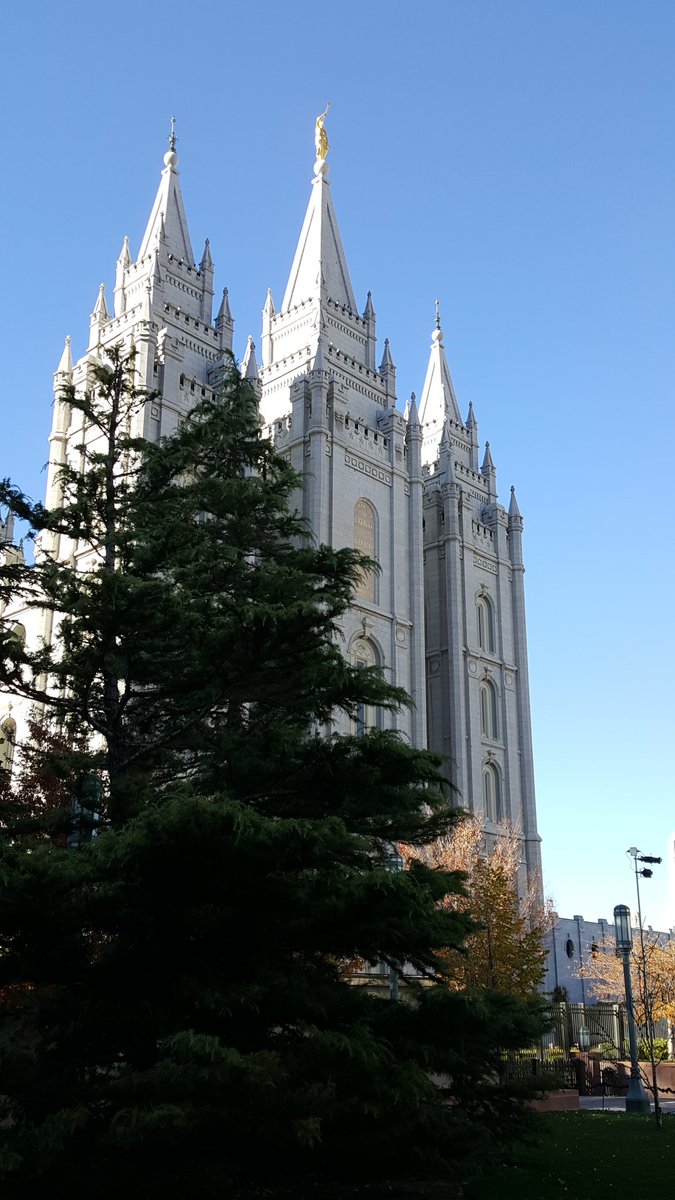 SamLevi14's tweet image. I tooked this picture. 💚 #ThisChurchIsTure #kuzouting #loveherguts #TempleSquare #TempleJourney @HardingAsh