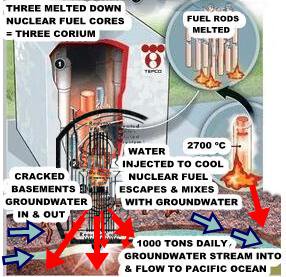 FrediTeres's tweet photo. #Fukushima essential #Info
we all should know.
Take a closer look
#ReadThePic Infographics: https://t.co/h335lmf3br