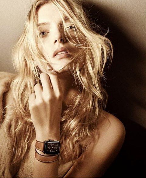 Lawntty's tweet image. "Ignavi coram morte quidem animam trahunt, audaces autem illam non saltem advertum."