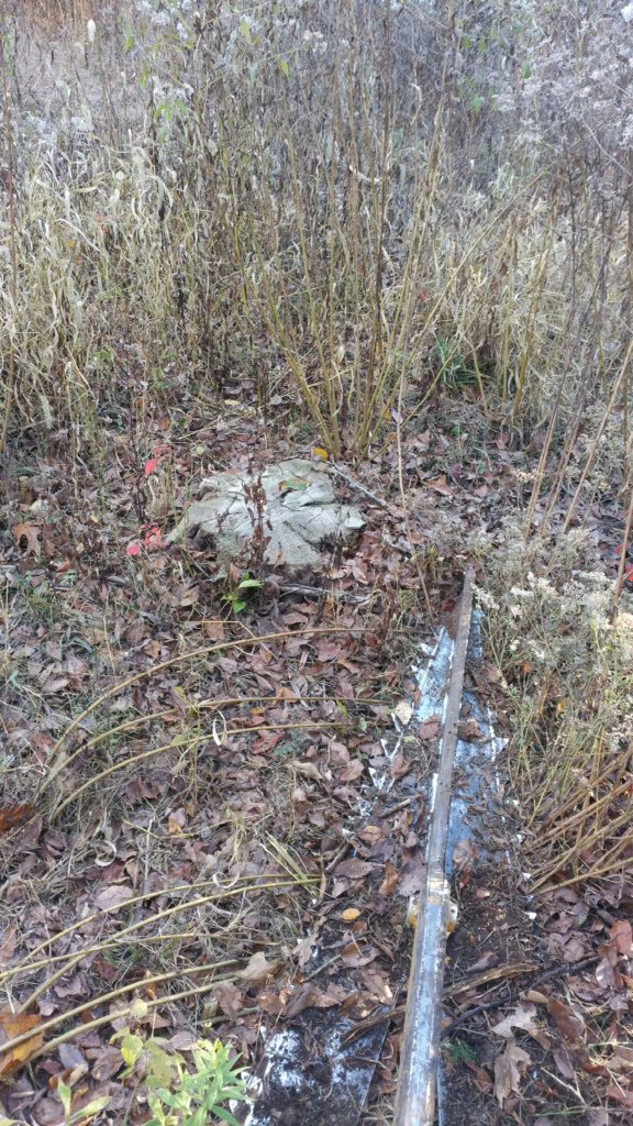 SiekerSales's tweet photo. Have you cleared a pasture &amp; had stumps?  Cut flush &amp; leave no stump w/ #ThePerfectTreeSaw 
https://t.co/MbblDNXPCo https://t.co/JO4MH7eI4i