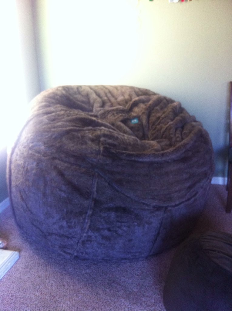 THIS IS A HUGE BEAN BAG