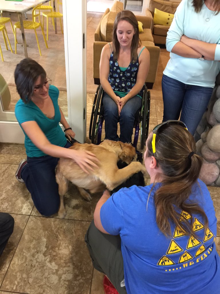 MCLifeRocks's tweet image. Join us! Happy Yappie Hour 3-5p  #CreeksideApartments 9971 E.Speedway, #Tucson hosted by @PETPARTMENTS #MCLifeRocks