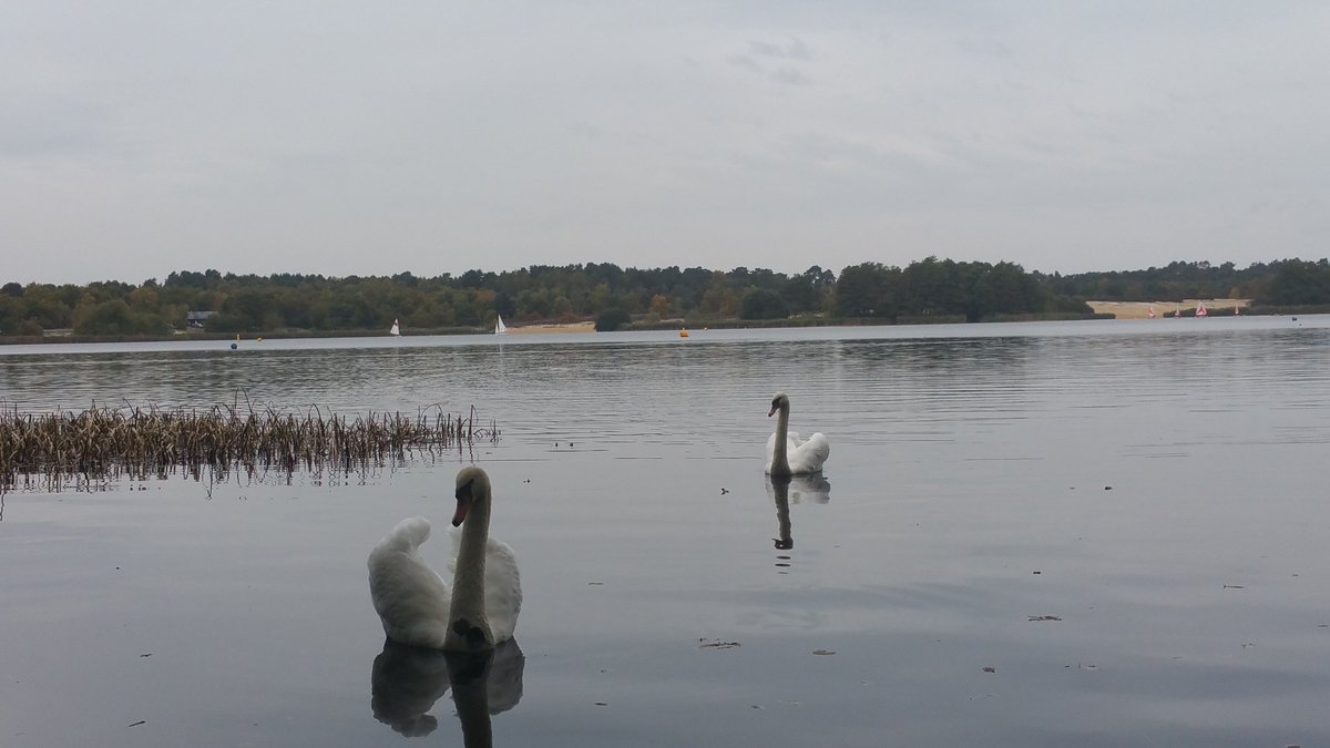 allspecialneeds's tweet image. After 2 days (Lebanon &amp;amp; Paris) of distressing news take a mo to reflect on the good things we are capable of too...