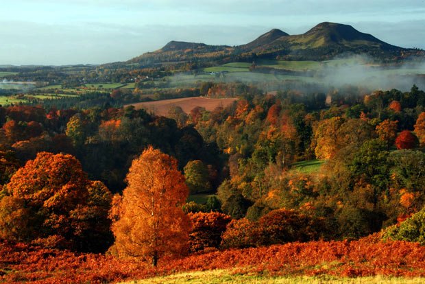 American_Nature's tweet photo. Who has the best Fall/Autumn? @UK_Nature #AmericanNature #UkNature https://t.co/olXp2Itnll