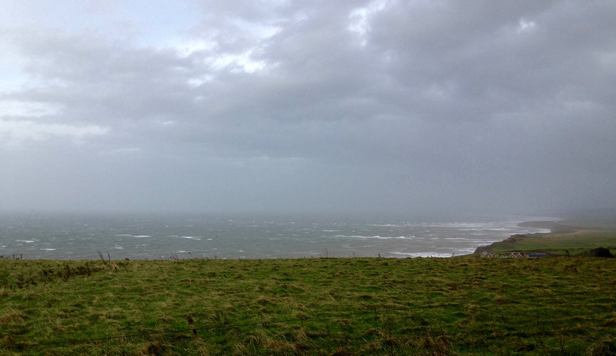timwiggins1's tweet photo. It was another wild one out there today. #intotheelements #happytrails #novemberriding #stormride https://t.co/M4vBUPtdBv