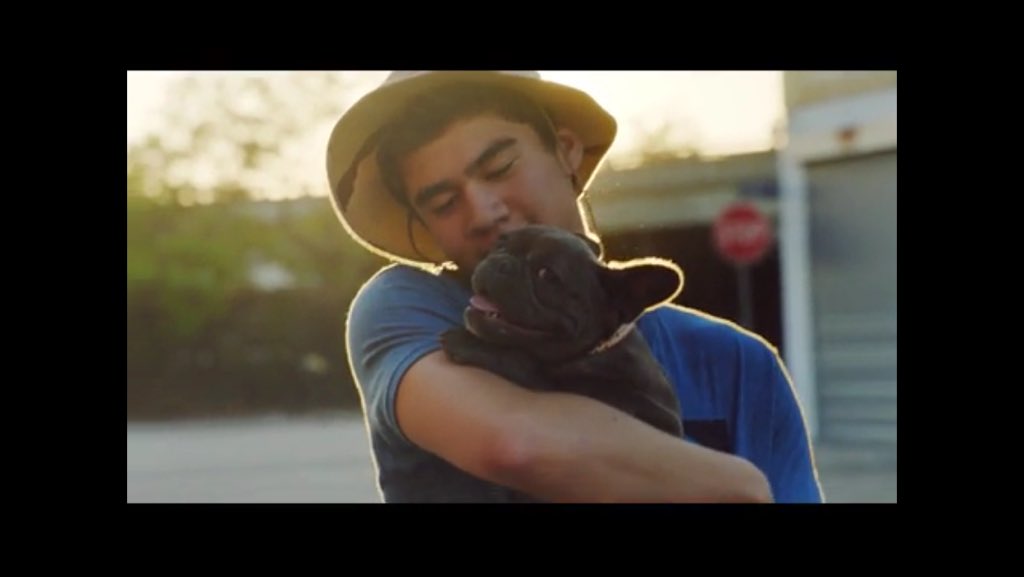 CUB_5SOS_HV's tweet photo. To the one and one Calum Hood ... No one can have a bigger obsession for dogs than you xx 🐶🐶 #WeLoveYouCalum https://t.co/ixT3hnI3I1