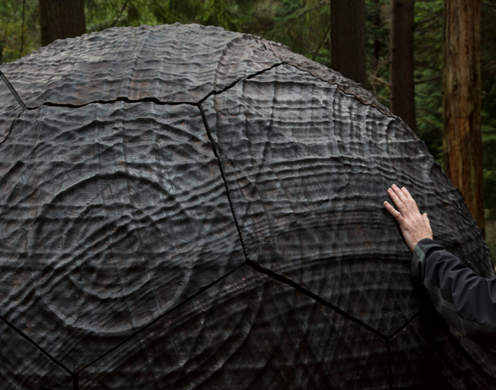 Ecohustler's tweet photo. The #forests are open for #art ideas 
£30,000 up for grabs in @JerwoodJVA commissioning
https://t.co/UNBxP2w5mu https://t.co/oSl4fgI6eW