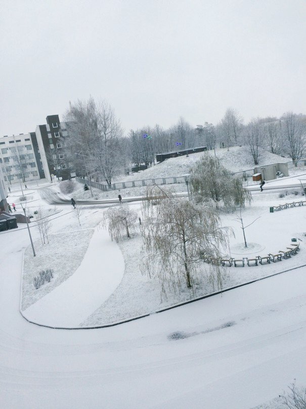 small_katrinka's tweet photo. Самое прекрасное утро😇
с первым снегом вас, малышки❄❄❄
#Minsk #GoodMorning #the_first_snow https://t.co/XBEzvodU8V