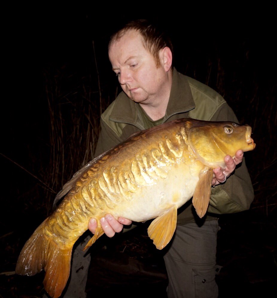 CarlStevenGee's tweet image. A very windy night last night and the ground bait approach worked again. Not big n worth it. #quality @RidgeMonkey