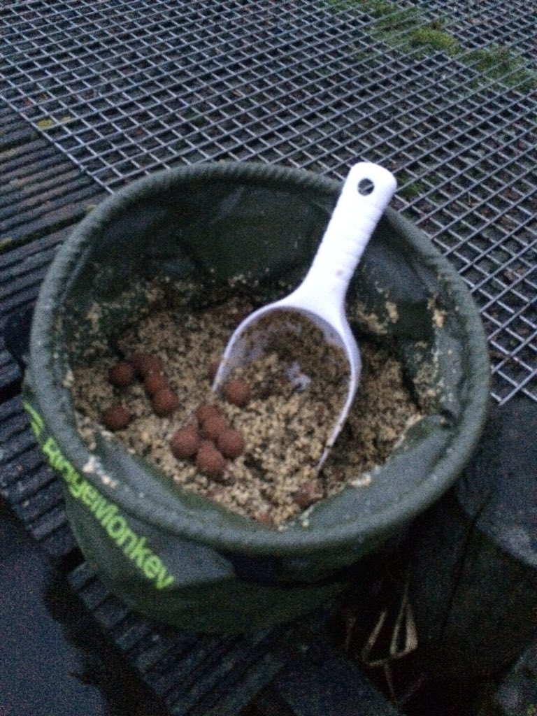 CarlStevenGee's tweet image. A very windy night last night and the ground bait approach worked again. Not big n worth it. #quality @RidgeMonkey