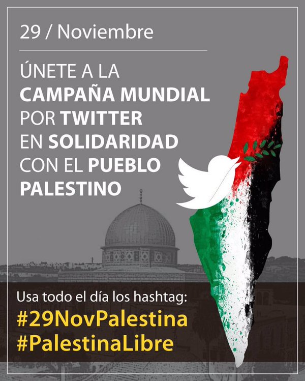 ProPalestina CamGib tweet media