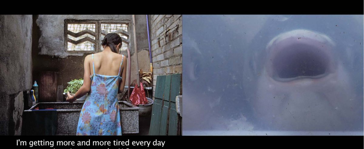 loopbarcelona's tweet image. 'China Town' (1992-2011) by Chien-Chi Chang. Chi-Wen Gallery
#LOOPArchives #LOOP2015 @ChiWenGallery