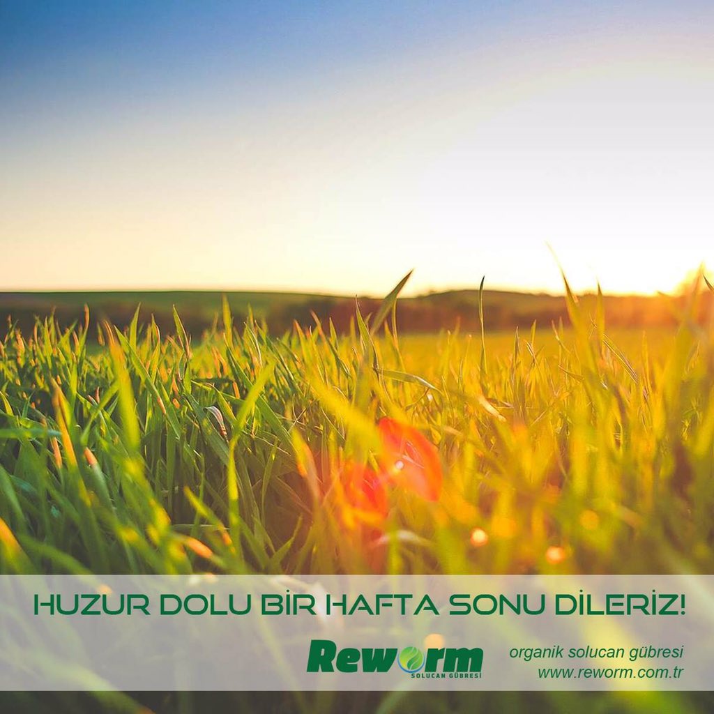 Reworm's tweet photo. Huzur dolu bir hafta sonu dileriz!
#reworm #haftasonu #organikhayat #organiksolucangübresi #solucan #solucangübresi https://t.co/5NTUF2mpog