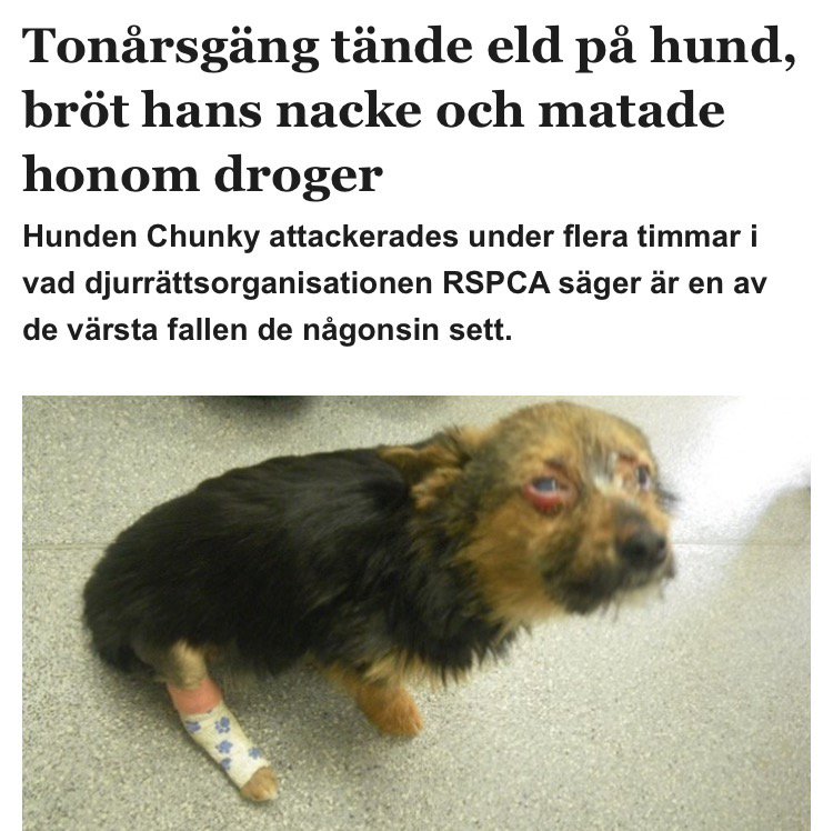 FinWestrin's tweet image. Jag kokar