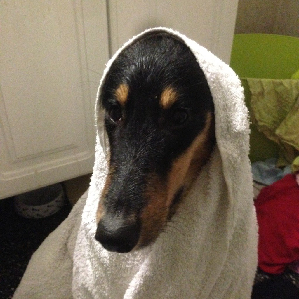 LineTHagen's tweet image. Bløtt ute 😂