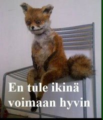 TomiLem_'s tweet photo. Päivän kuva. #oloja https://t.co/TnrenCppGm