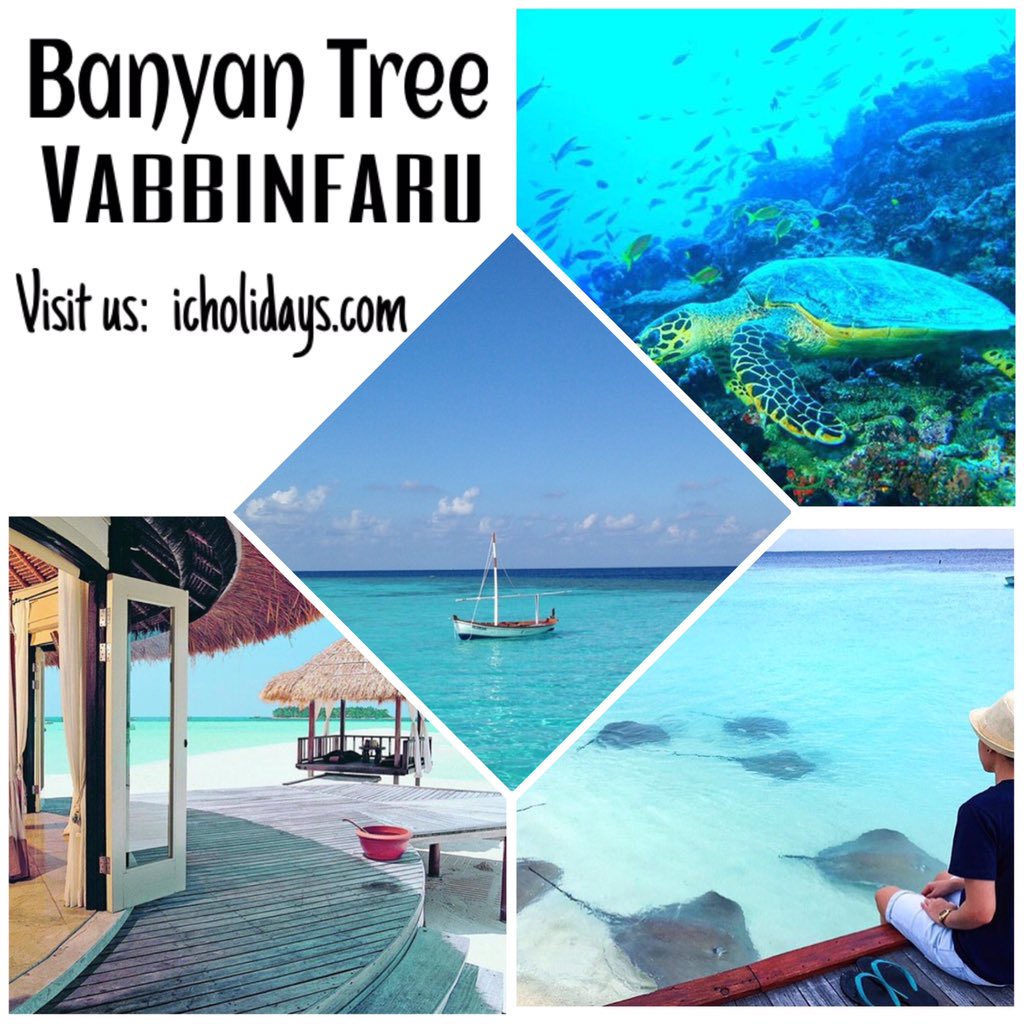 icholidays's tweet photo. BANYAN TREE VABBINFARU
#Maldives  #dive #diving #divinglife #divelovers 

Visit us:  https://t.co/EtV8FxBlOr https://t.co/RGpSl4n2jk