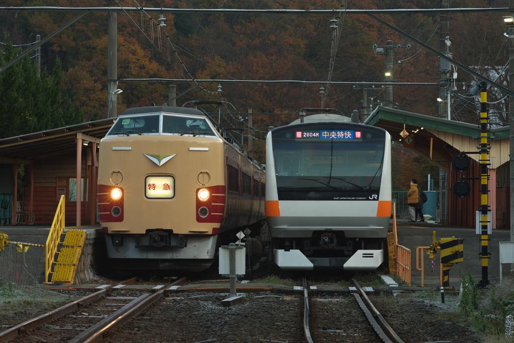 今日運転された富士山マラソン開催に伴い運転されたE233系と189系M51