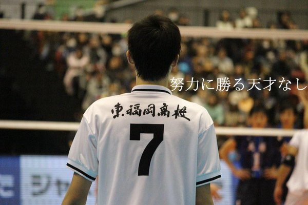 Akiya Akiya Mok Twitter