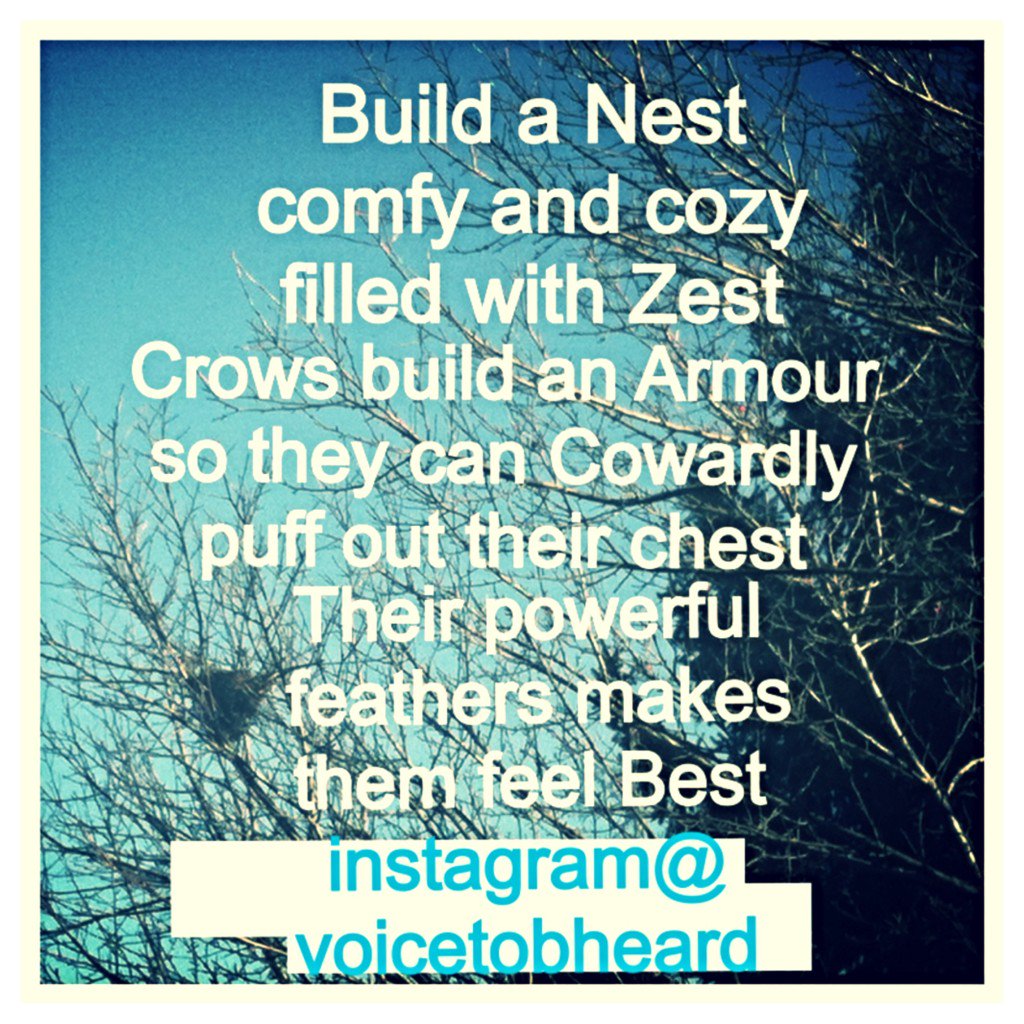 Lisarae74334205's tweet image. &quot;Powerful feathers perched....ALL on nothing ever owned&quot; #poetry #civilrights #WeAreNotGarbage