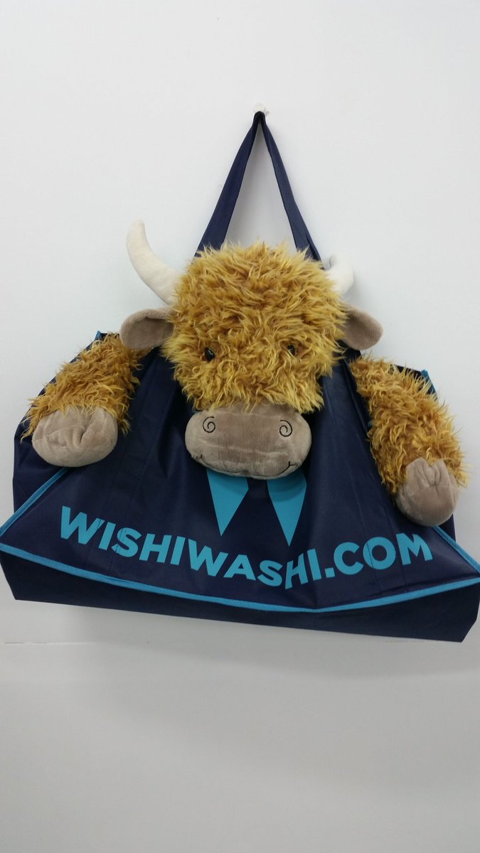 wishiwashi's tweet photo. This weeks Star! Mr Cuddly just handed in for a scrub-up #laundry. NO PROB..we here to help https://t.co/7a27kWjJaM https://t.co/1JhMacJBnm